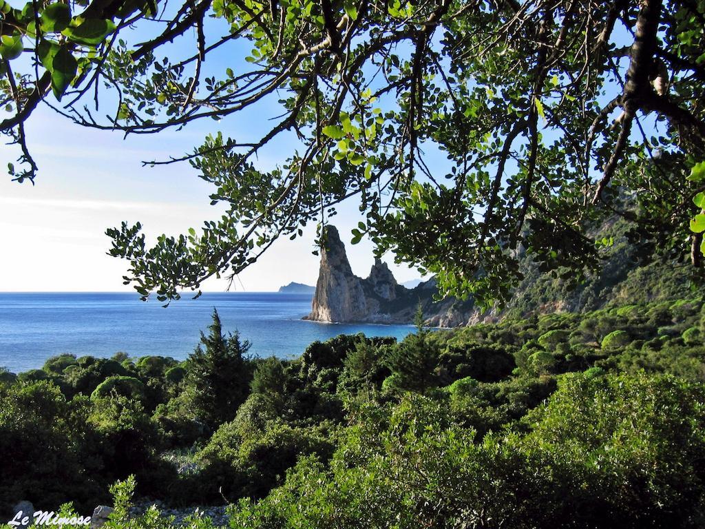 Appartamenti Le Mimose Santa Maria Navarrese Habitación foto