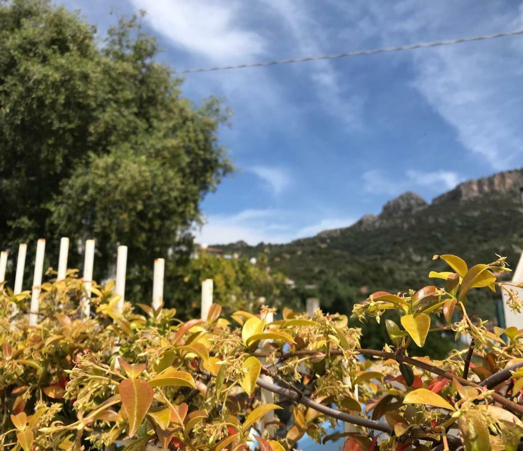Appartamenti Le Mimose Santa Maria Navarrese Exterior foto